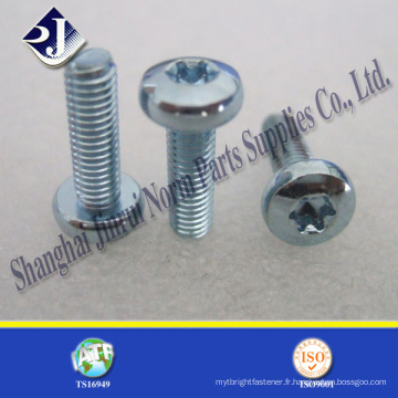 T27 Torx Screw